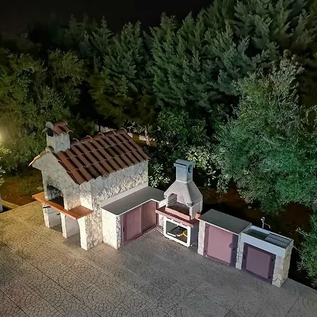 Cetty * تراني