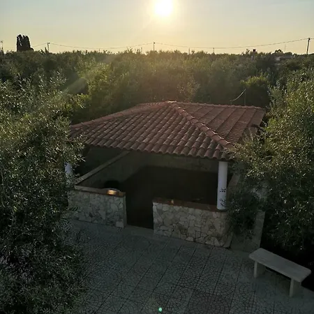 Cetty تراني