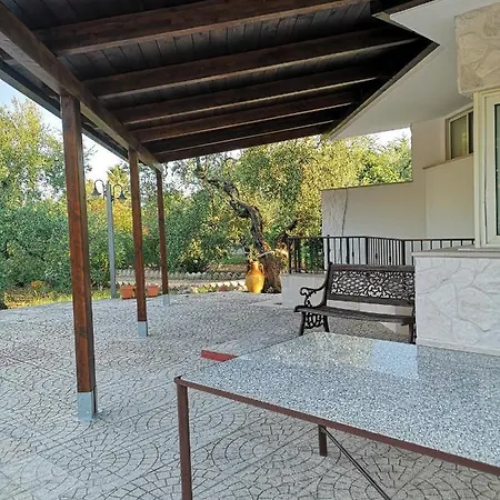 Cetty تراني